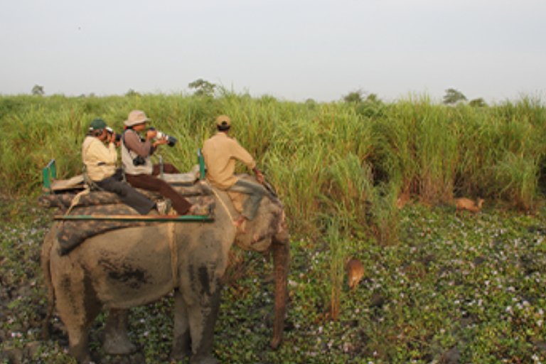 Assam, Arunachal, Meghalaya 